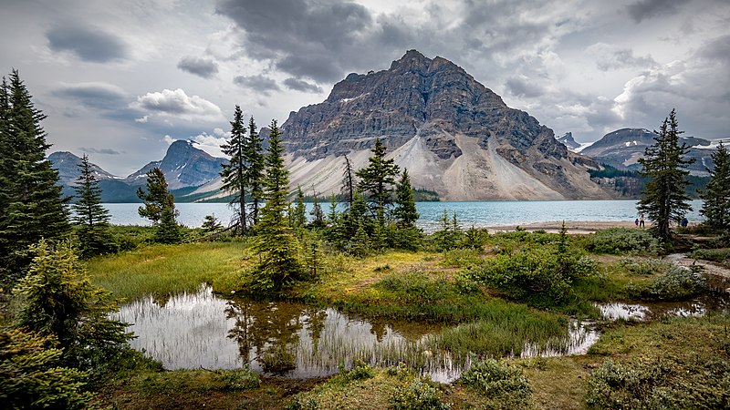 Mosquito Creek | Campground near Calgary Alberta