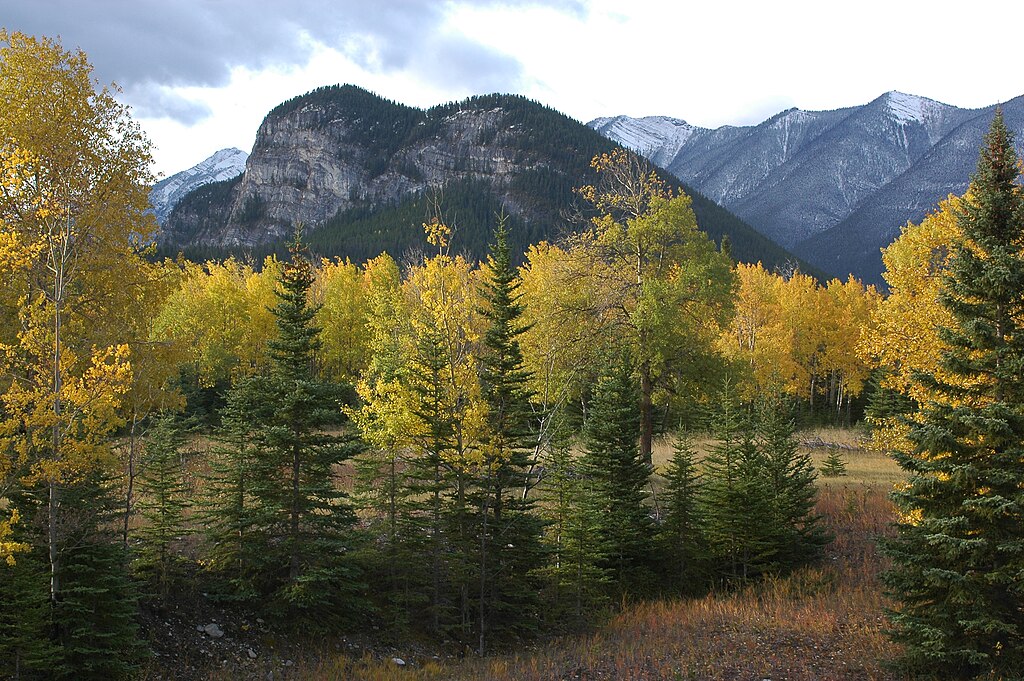 Tunnel Mountain Village II Campground: A Premier RV Destination in Banff National Park