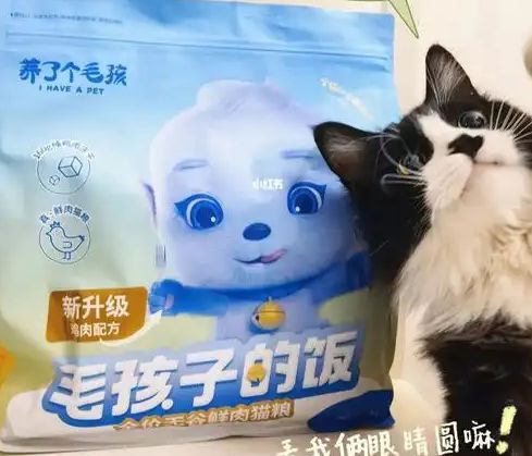 ！三只松鼠靠什么重返宠物食品赛道开元棋牌零食巨头盯上毛孩子口粮(图2)