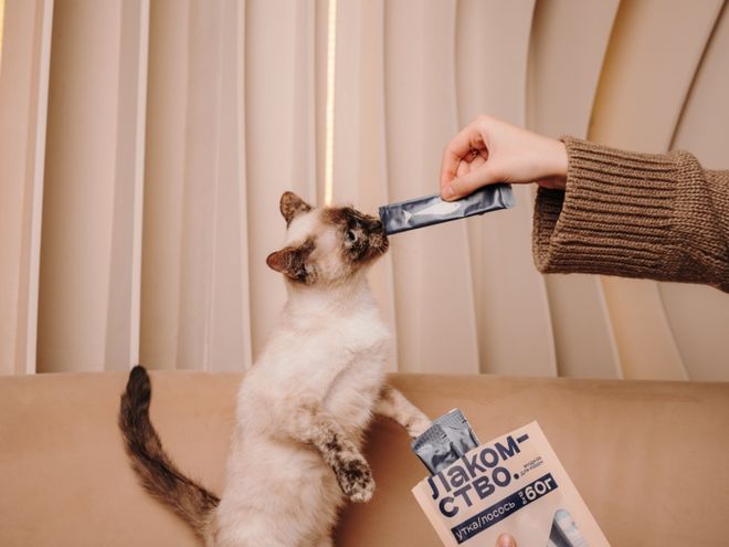 pet宠物零食以昆虫蛋白开辟全新赛道开元棋牌网站中俄联合品牌cosmo(图2) pet宠物零食以昆虫蛋白开辟全新赛道开元棋牌网站中俄联合品牌cosmo(图2)